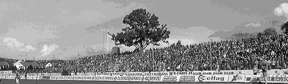 tribune